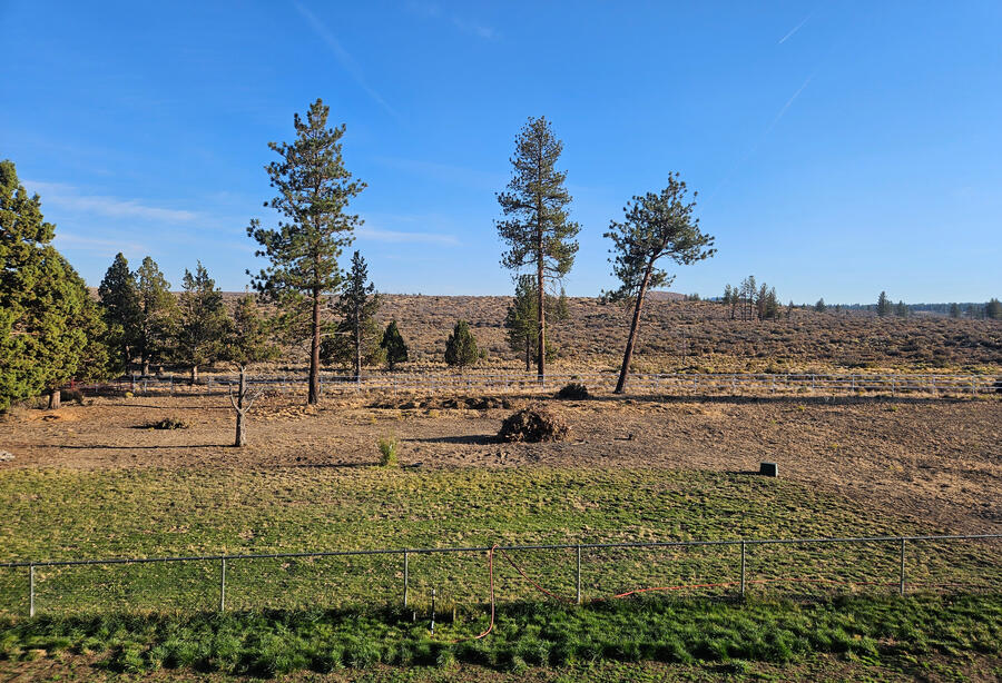 View of Deschutes National Forest
